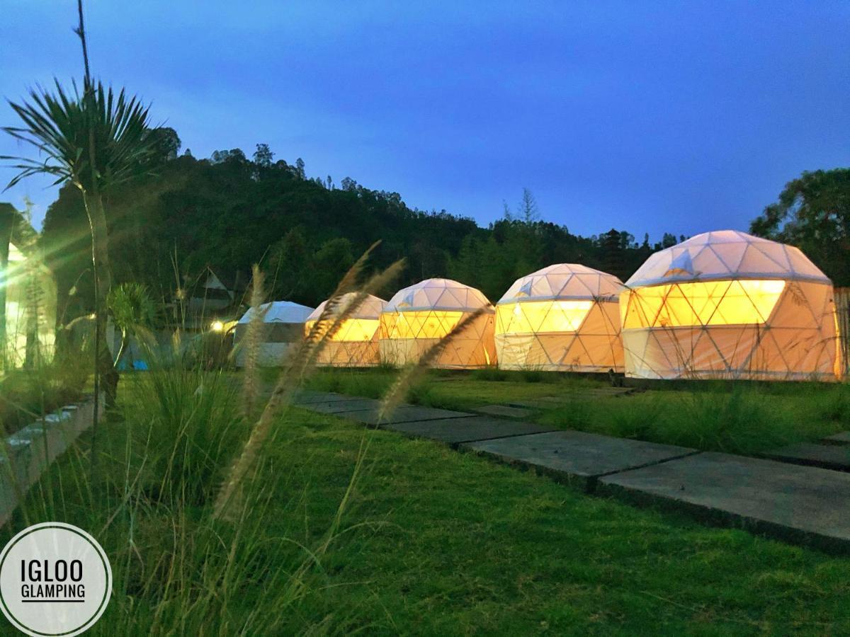 فندق Igloo Glamping Bali Kintamani المظهر الخارجي الصورة