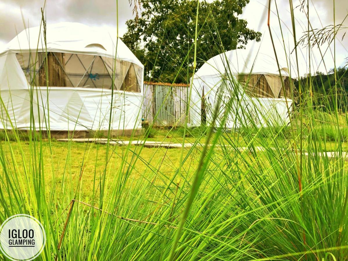 فندق Igloo Glamping Bali Kintamani المظهر الخارجي الصورة