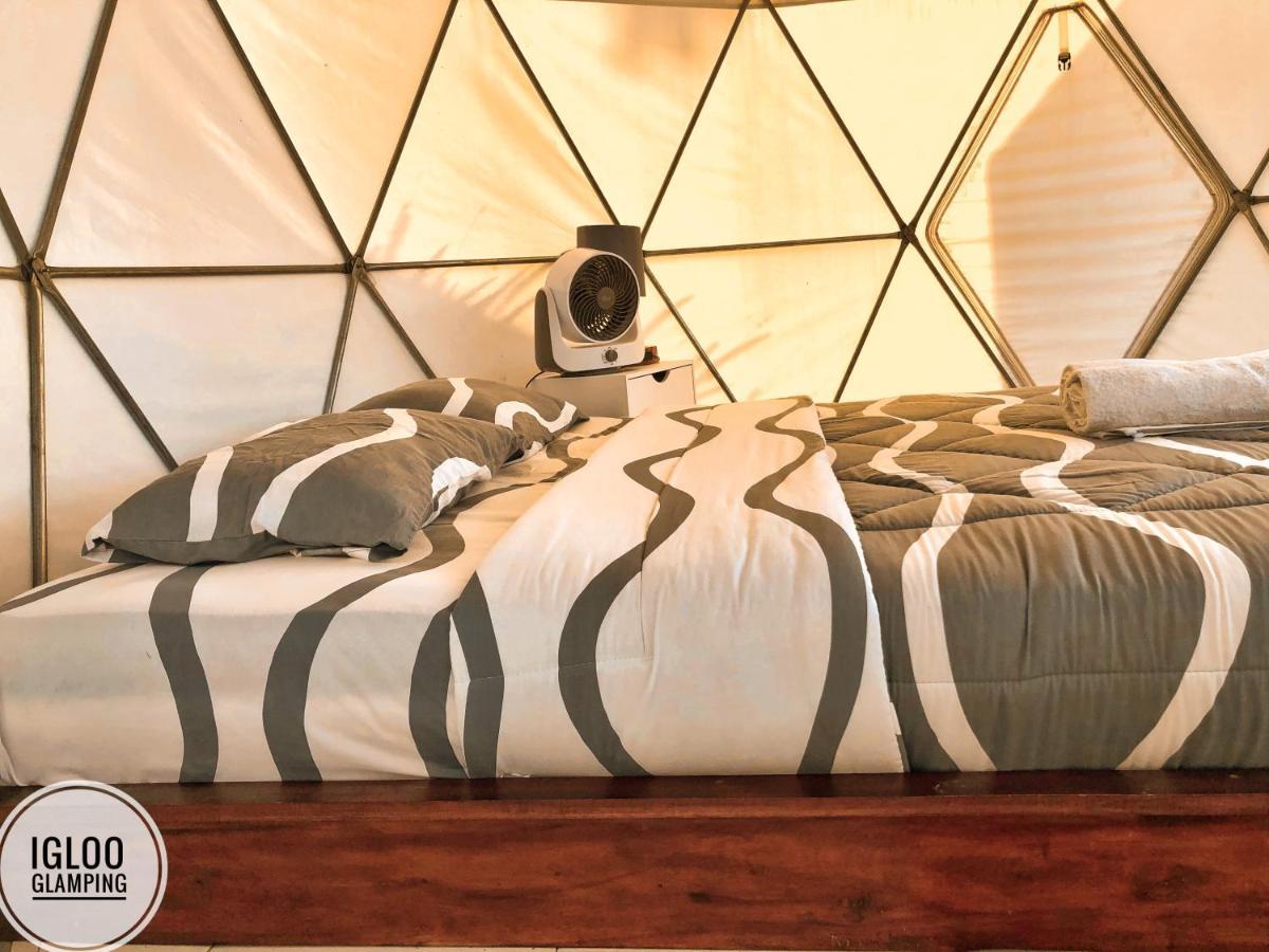 فندق Igloo Glamping Bali Kintamani المظهر الخارجي الصورة